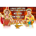 Aladdin: Pantomime, Empire Theatre