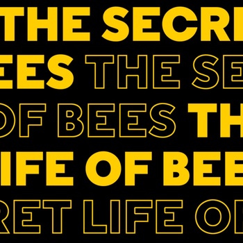 The Secret Life of Bees The Secret Life of Bees
