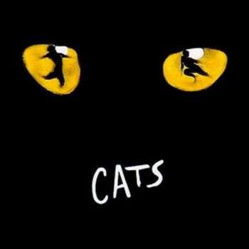 Cats Cats