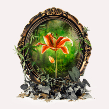 Through the Looking Glass Through the Looking Glass
