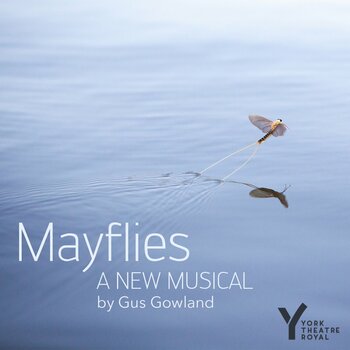 Mayflies