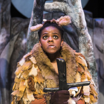 The Gruffalo’s Child The Gruffalo’s Child
