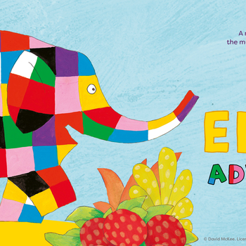 The Elmer Adventure The Elmer Adventure