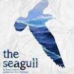 The Seagull