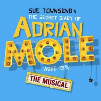 The Secret Diary of Adrian Mole Aged 13 3/4