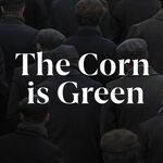The Corn is Green