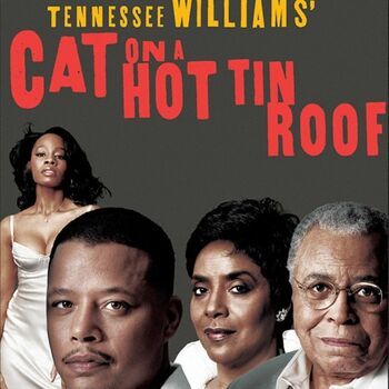 Cat on a Hot Tin Roof Cat on a Hot Tin Roof