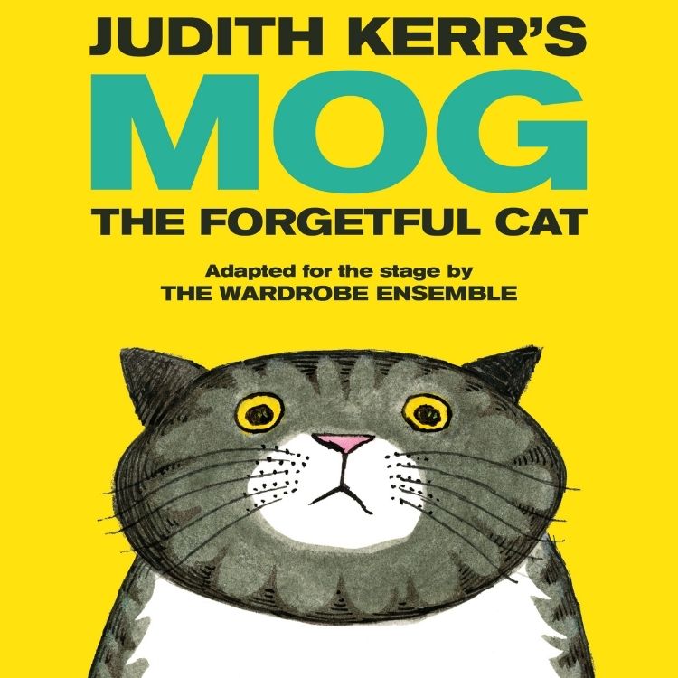 Mog The Forgetful Cat, Royal & Derngate