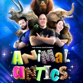 Animal Antics Animal Antics