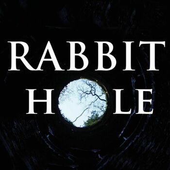Rabbit Hole Rabbit Hole