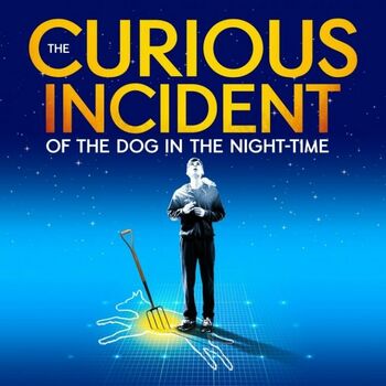 The Curious Incident of the Dog in the Night-Time The Curious Incident of the Dog in the Night-Time
