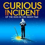 The Curious Incident of the Dog in the Night-Time, National Theatre